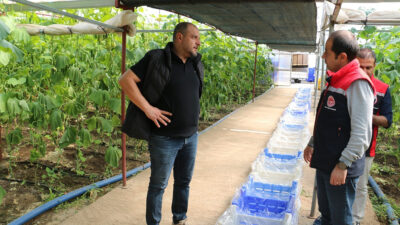 Erzincan’da seracılık hızla büyürken, üretim sadece sebzeyle sınırlı kalmıyor. Bölgedeki