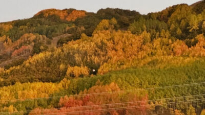 Erzincan’ın Refahiye ilçesinde sonbaharın gelişiyle birlikte doğa adeta renk değiştirdi.