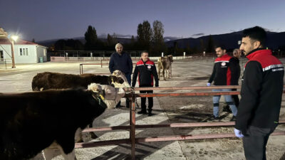 Bir süredir kapalı olan Erzincan Canlı Hayvan Pazarı, alınan biyogüvenlik