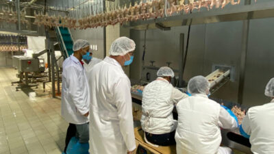 Tarım ve Orman Bakanlığı’nın ülke genelinde başlattığı kanatlı kesimhanelerinin denetlenmesi talimatı kapsamında