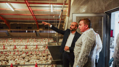 Erzincan’da 39 broiler işletmesine ait 51 kümeste yaklaşık 1 milyon