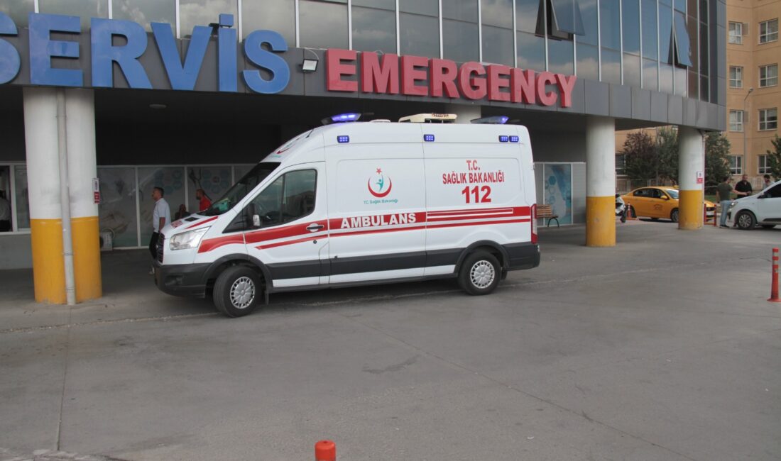 Erzincan’ın Üzümlü ilçesine bağlı Bayırbağ köyü kırsalında yürüyüş yapan 65