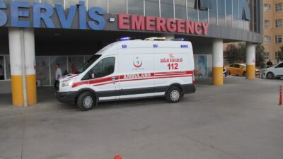 Erzincan’ın Üzümlü ilçesine bağlı Bayırbağ köyü kırsalında yürüyüş yapan 65