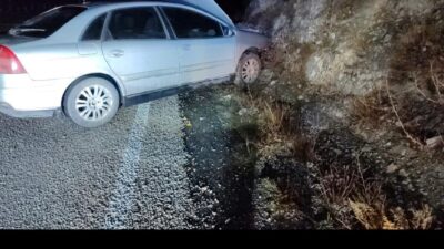 Erzincan’ın Refahiye ilçesinde seyir halindeki bir otomobilin aniden yola çıkan