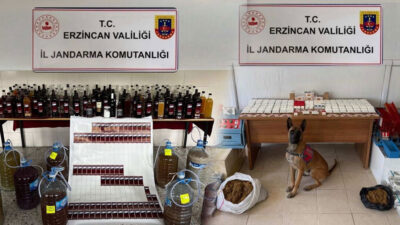 Kasım ayında Erzincan genelinde yürütülen jandarma faaliyetlerinde 124 olay aydınlatılırken,