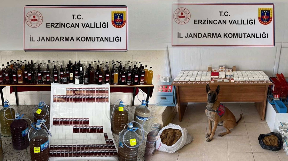 Kasım ayında Erzincan genelinde yürütülen jandarma faaliyetlerinde 124 olay aydınlatılırken,