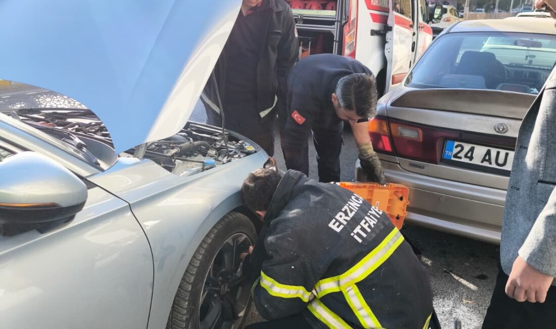 Erzincan’da otomobilin motor kısmına girip sıkışan yavru kedi, itfaiye ekiplerince