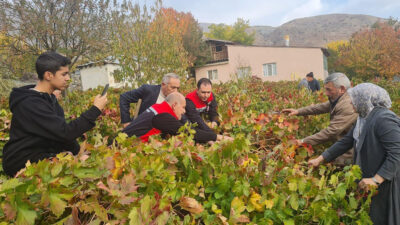 Erzincan’ın önemli bağcılık merkezlerinden biri olan Üzümlü ilçesine bağlı Karakaya