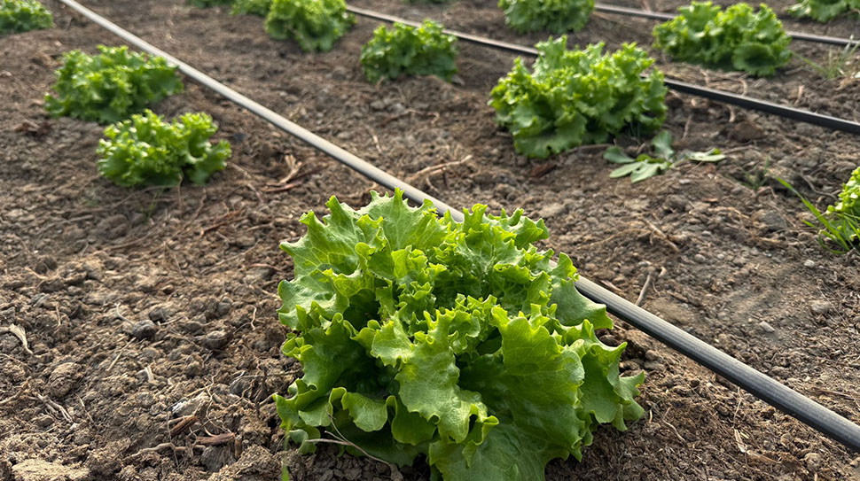 Erzincan’da Valilik öncülüğünde kurulan ve Doğu Anadolu Bölgesi’nin en büyük