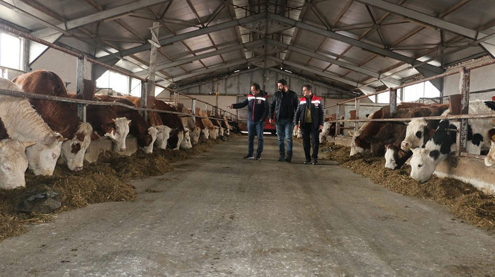 Erzincan Tarım ve Orman İl Müdürü Alper Koçaker, Akyazı Mahallesi’nde