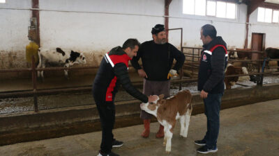 Erzincan Tarım ve Orman İl Müdürü Alper Koçaker, Akyazı Mahallesi’ndeki