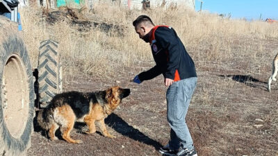 Erzincan Tarım ve Orman İl Müdürlüğü, toplum sağlığını tehdit eden