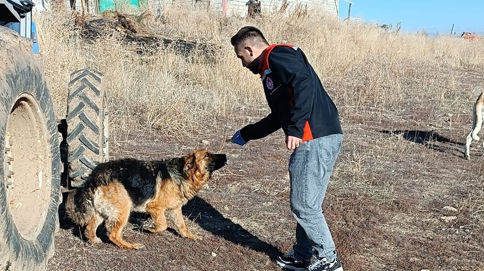 Erzincan Tarım ve Orman İl Müdürlüğü, toplum sağlığını tehdit eden