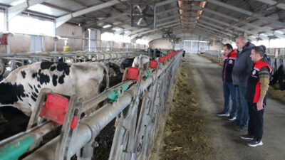 Erzincan Tarım ve Orman İl Müdürü&nbsp;Alper Koçaker, kentte faaliyet gösteren&nbsp;Canan