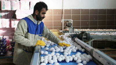 Erzincan’da tarımsal sanayi, Tarım ve Orman Bakanlığı’nın hibe destekleriyle modernleşiyor.