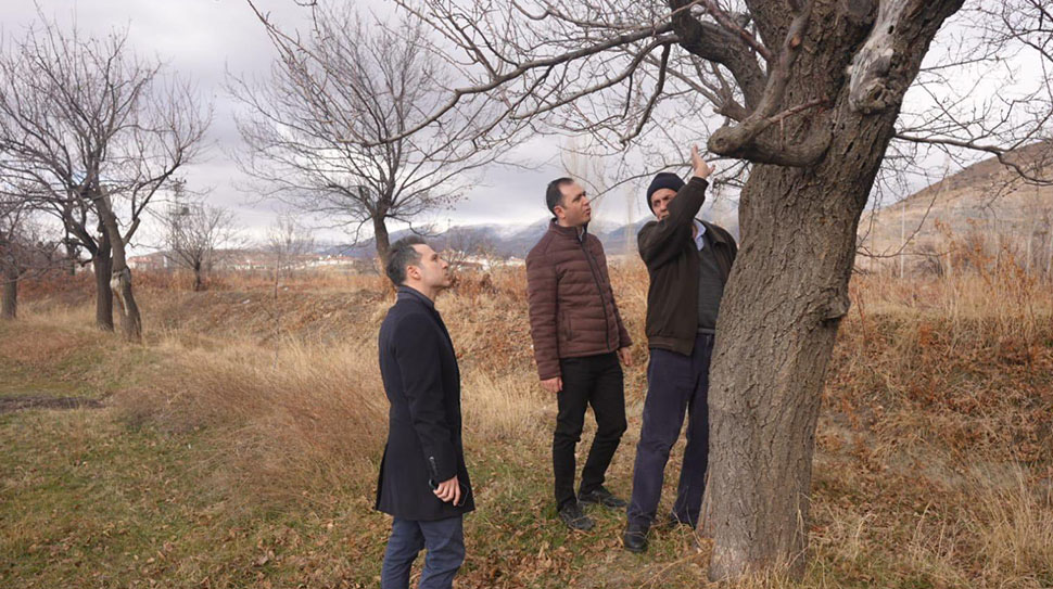 Üzümlü ilçesinin tarımsal potansiyelini artırmaya yönelik çalışmalar hız kesmeden devam