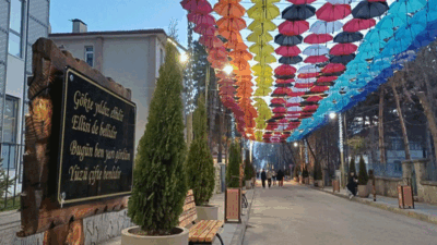 Erzincan Belediyesi ile Erzincan Valiliği iş birliğinde, İnönü Mahallesi İl