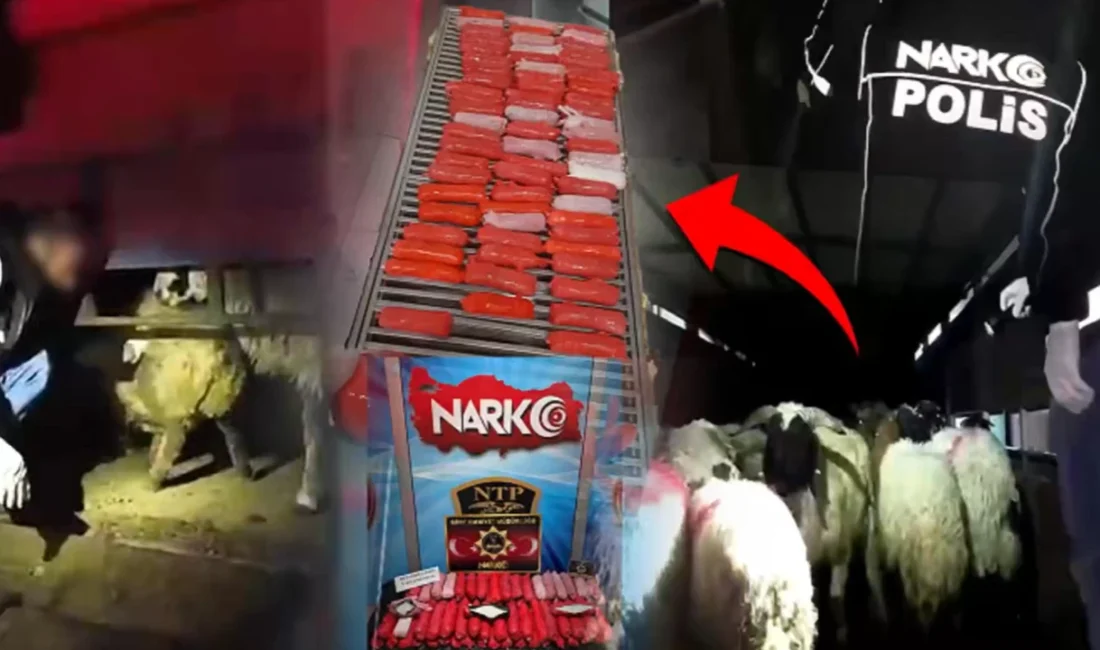 Siirt ve Hakkari emniyetinin ortaklaşa düzenlediği operasyonda, zehir tacirlerinin “pes”