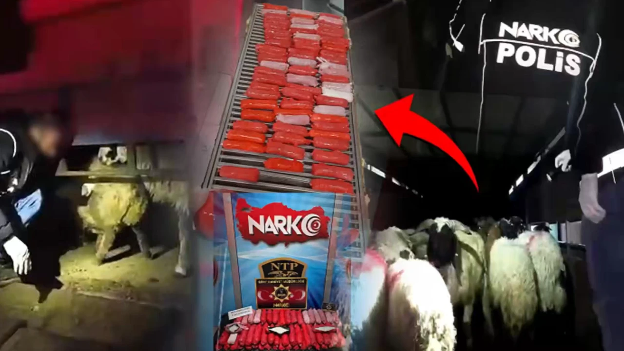 Siirt ve Hakkari emniyetinin ortaklaşa düzenlediği operasyonda, zehir tacirlerinin “pes”