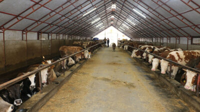 Erzincan’da hayvancılık sektörünün modernizasyonu ve gelişim süreçleri, Tarım ve Orman