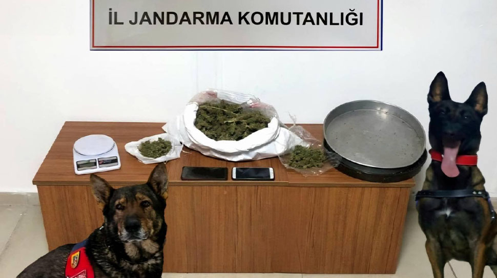 Erzincan İl Jandarma Komutanlığı’nın 2025 yılı faaliyet raporu, suçla mücadeledeki