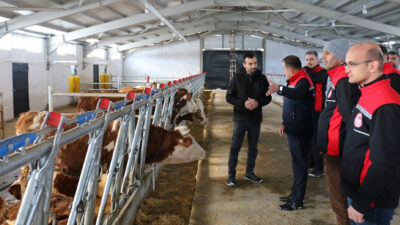 Tarım ve Orman Bakanlığı’nın Kırsal Kalkınma Yatırımlarının Desteklenmesi Programı (KKYDP)