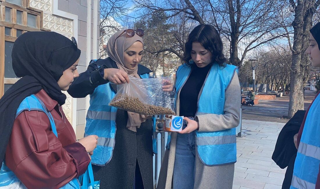 Erzincan Ülkü Ocakları İl Başkanlığı Asena Birimi, “Sokak Hayvanlarını Besleme
