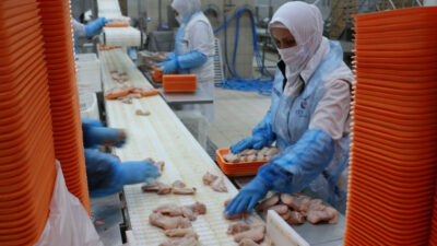 Ticaret Bakanlığı, beyaz et sektöründe yaşanan fahiş fiyat artışlarının önüne