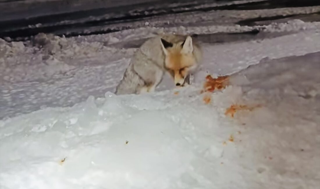 Erzincan-Sivas karayolu üzerinde bulunan ve çetin kış şartlarıyla bilinen Sakaltutan