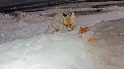 Erzincan-Sivas karayolu üzerinde bulunan ve çetin kış şartlarıyla bilinen Sakaltutan