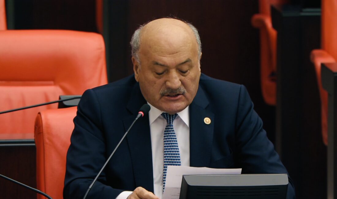 AK Parti Erzincan Milletvekili Süleyman Karaman, Türkiye Büyük Millet Meclisi