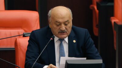 AK Parti Erzincan Milletvekili Süleyman Karaman, Türkiye Büyük Millet Meclisi