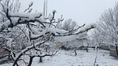 Meteoroloji, Erzincan ve çevresi için kuvvetli kar yağışı uyarısı yaptı.