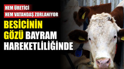 Erzincan Kırmızı Et Üreticiler Birliği Başkanı Vahit Erdem, 2026 yılı