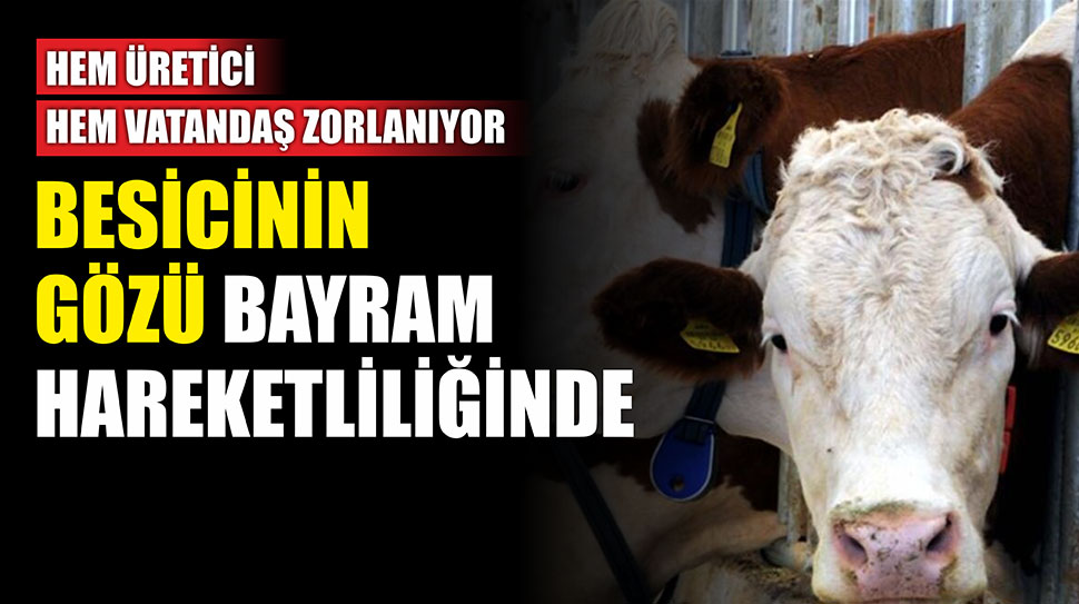 Erzincan Kırmızı Et Üreticiler Birliği Başkanı Vahit Erdem, 2026 yılı