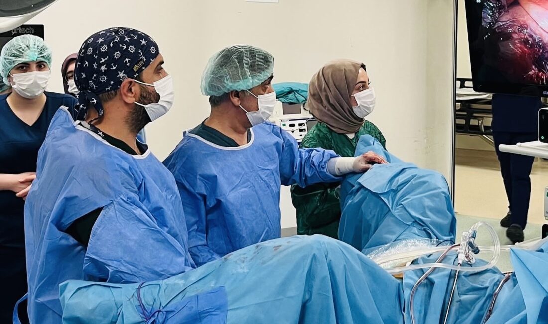 Erzincan Mengücek Gazi Eğitim ve Araştırma Hastanesi, tıp literatüründeki modern