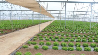 Erzincan’ın bereketli topraklarında tarımsal üretim, yenilikçi modellerle hız kesmeden büyümeye