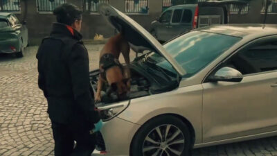 Erzincan’ın da dahil olduğu 69 ilde düzenlenen dev operasyonda tonlarca