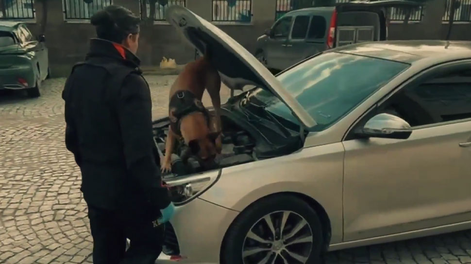 Erzincan’ın da dahil olduğu 69 ilde düzenlenen dev operasyonda tonlarca