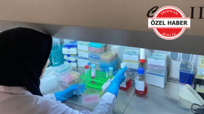 TÜBİTAK desteğiyle çalışmalarını sürdüren Erzincan Binali Yıldırım Üniversitesi Eczacılık Fakültesi