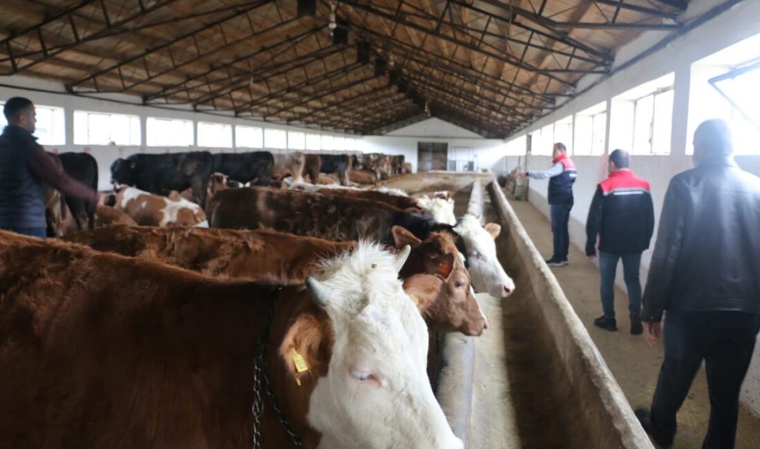 Erzincan’da hayvancılık sektörünün gelişimini yerinde takip etmek ve üreticilerin taleplerini