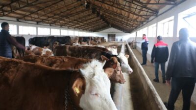 Erzincan’da hayvancılık sektörünün gelişimini yerinde takip etmek ve üreticilerin taleplerini
