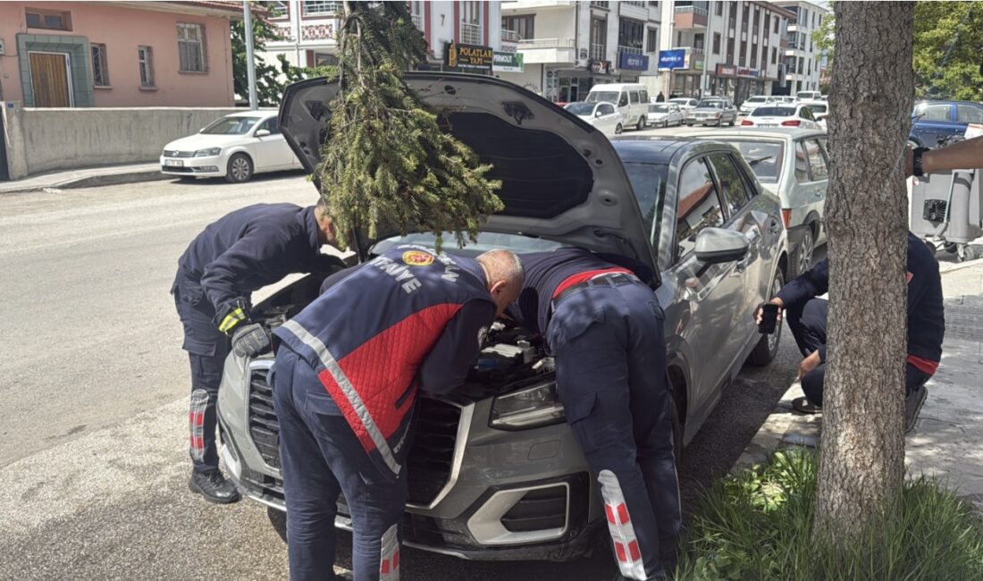 Erzincan’da bir aracın motor kısmına saklanan ve itfaiye ekiplerinin uzun