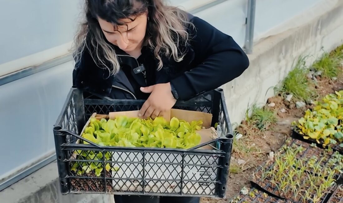 Erzincan’ı bölgenin tarım üssü haline getirmeyi hedefleyen Toplu Sera Bölgesi’nde