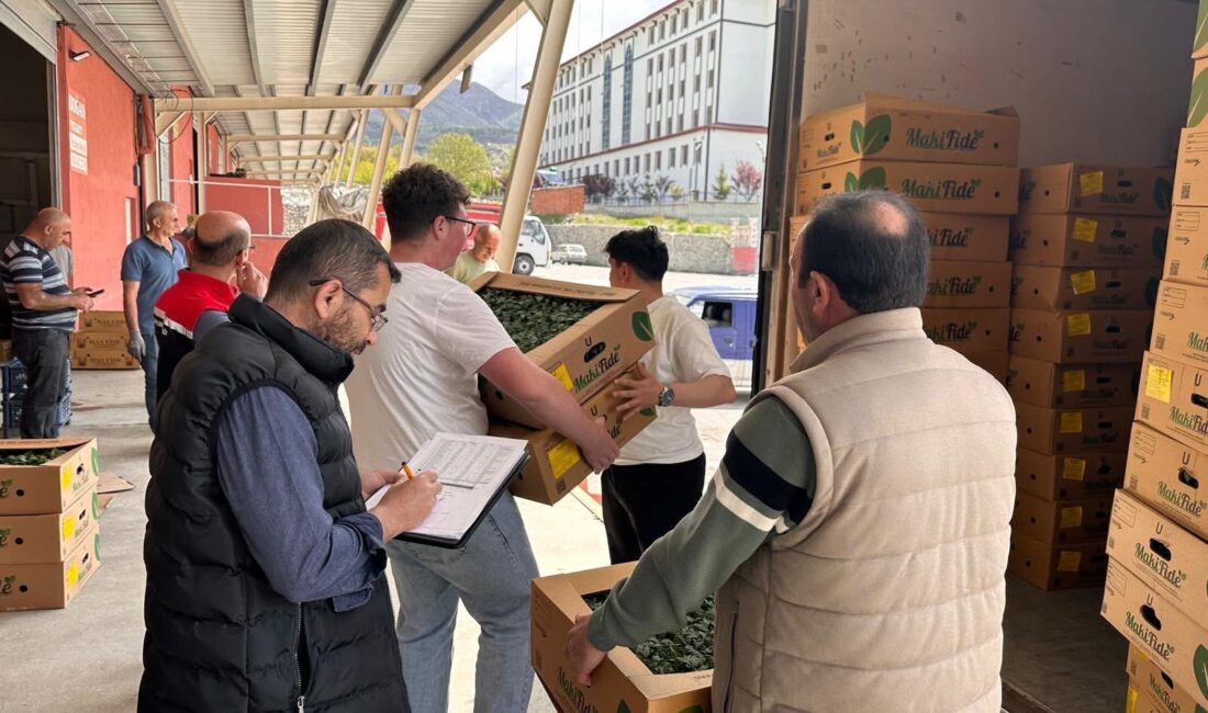 Erzincan’ın tarımsal üretimiyle öne çıkan ilçelerinden Üzümlü’de, üreticilerin yüzünü güldüren