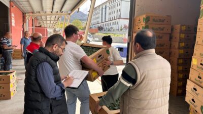 Erzincan’ın tarımsal üretimiyle öne çıkan ilçelerinden Üzümlü’de, üreticilerin yüzünü güldüren