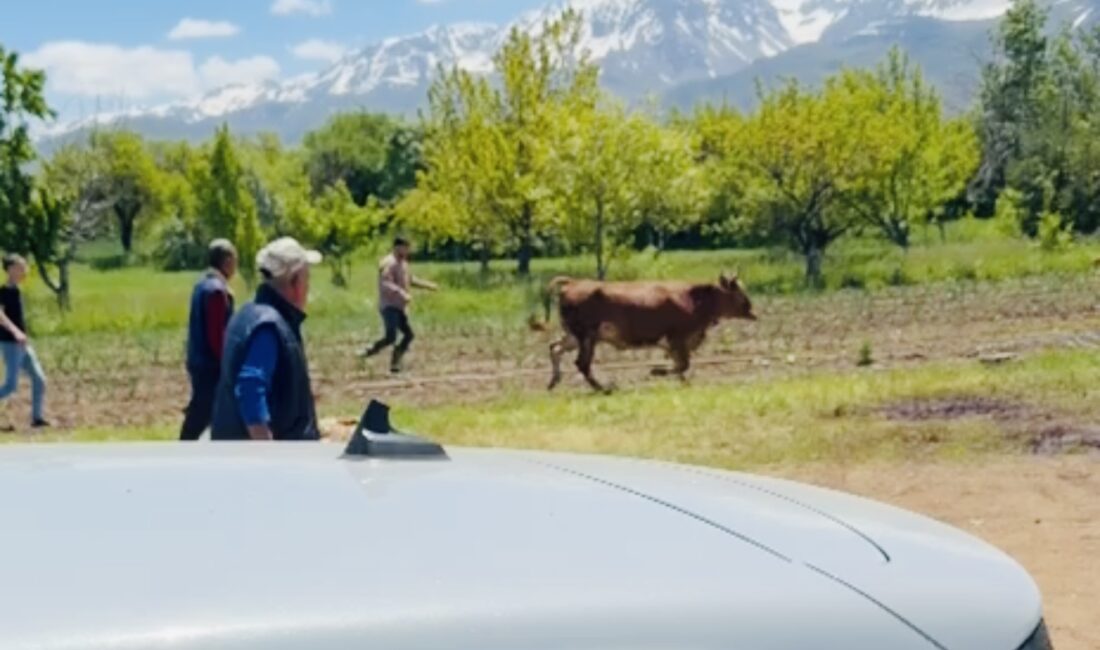 Erzincan’da Kurban Bayramı’nın ilk gününde, sabah namazının ardından başlayan kurban