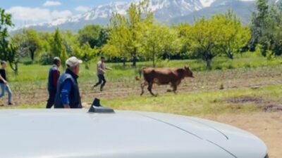 Erzincan’da Kurban Bayramı’nın ilk gününde, sabah namazının ardından başlayan kurban