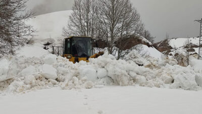 Tunceli’nin Ovacık ilçesinde bahar çiçekleri beklenirken, kar kalınlığı yer yer