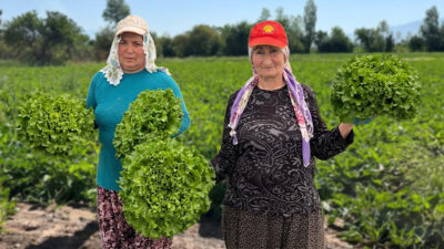 Mart ve Nisan yağışları Erzincan’da üreticinin yüzünü güldürdü; hububat tarlalarında